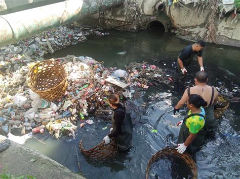 sotwe cebu milker|Garganera says 16th Cebu City cleanup drive was successful but.